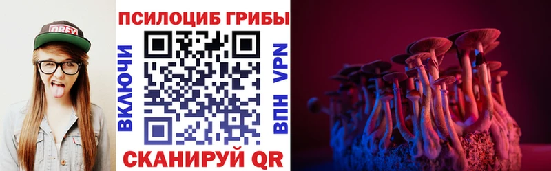 мега зеркало Энем Псилоцибиновые грибы Psilocybine cubensis как найти наркотики